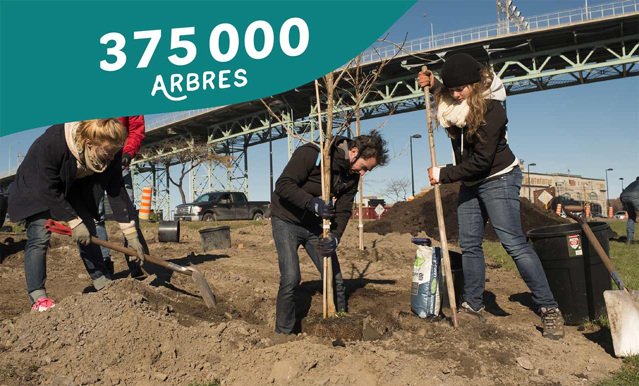 375 000 arbres